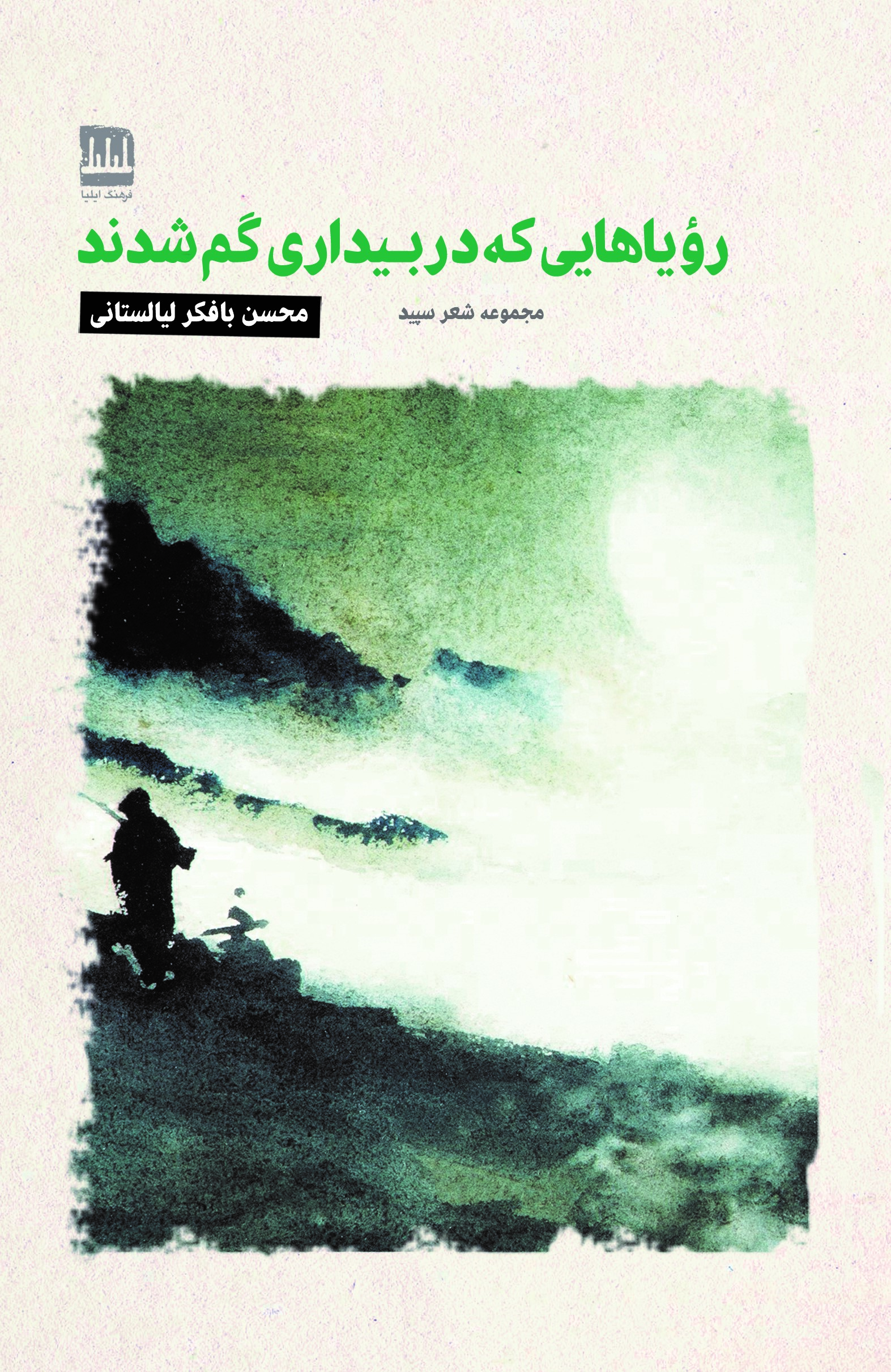 رویاهایی که در بیداری گم شدند